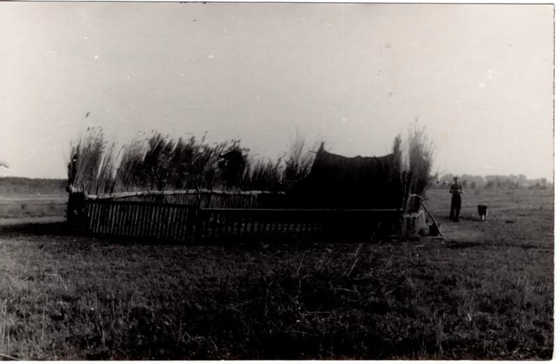 Szárnyék, karám gunyhóval