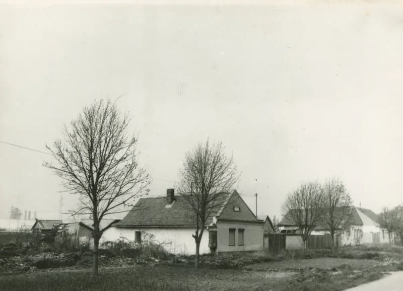 Hertelendyfalvi házak