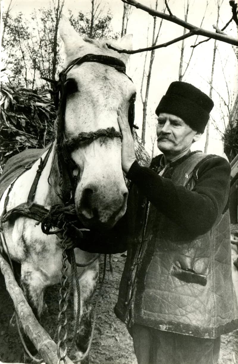 Vicsek Károly filmforgatás