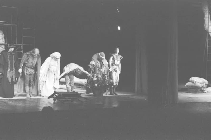 A Kolozsvári Állami Magyar Színház Újvidéken