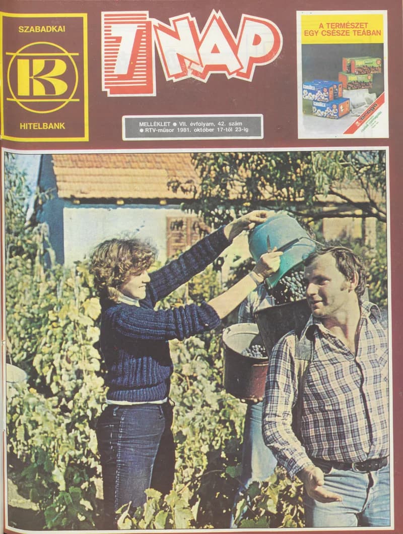 7 Nap melléklet, 7. évf. 1981. október 17. – 23. 42. sz.