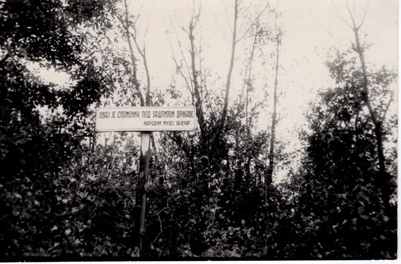 A gamzigrádi romoknál