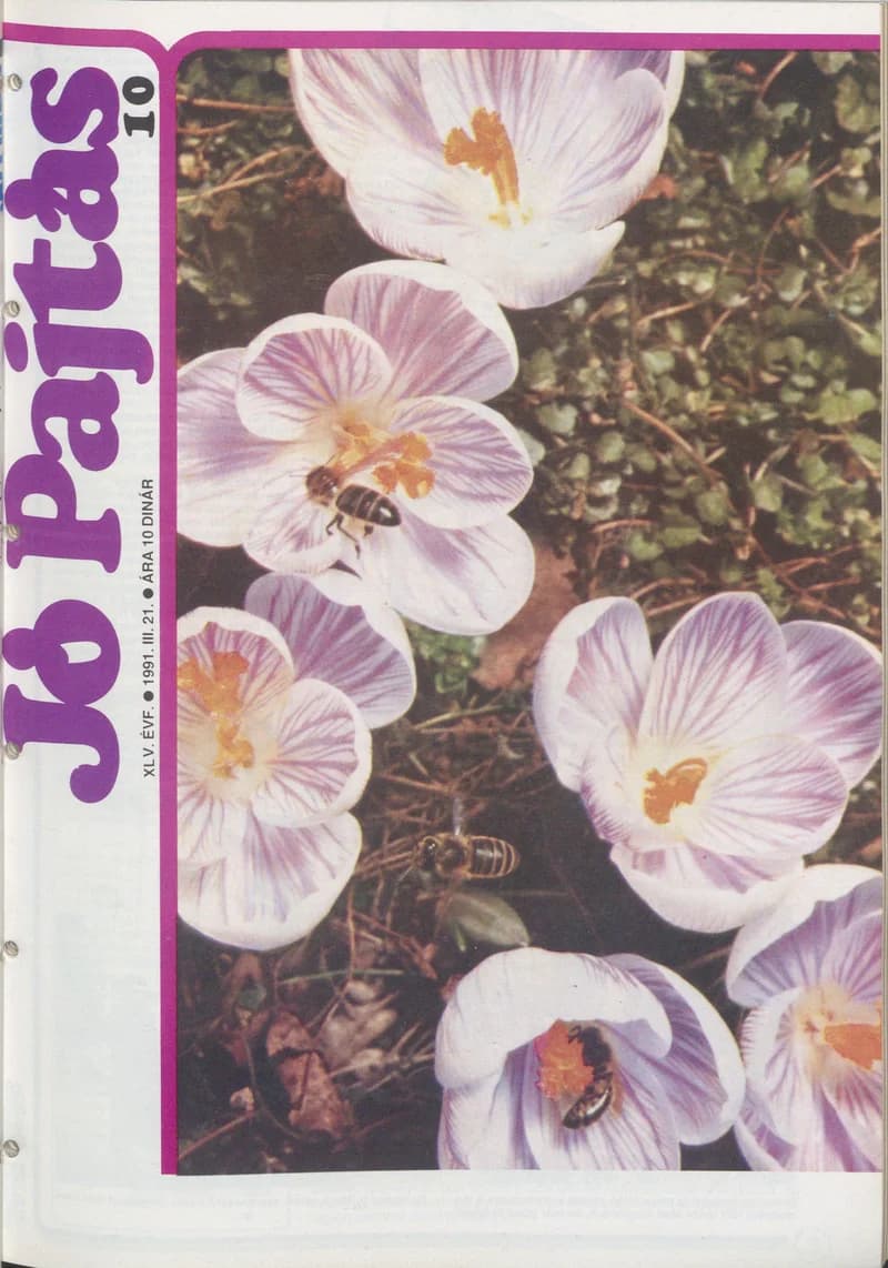 Jó Pajtás, 45. évf. 1991. március 21. 10. sz.