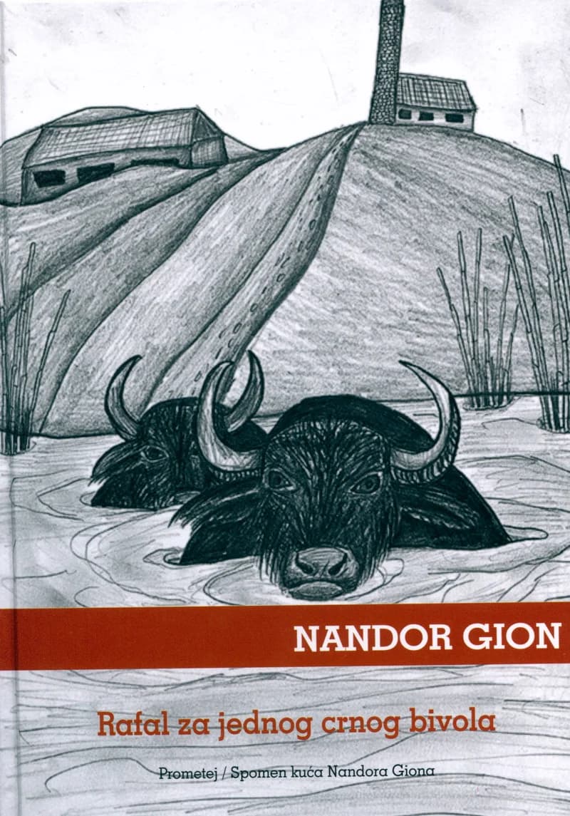 Rafal za jednog crnog bivola 