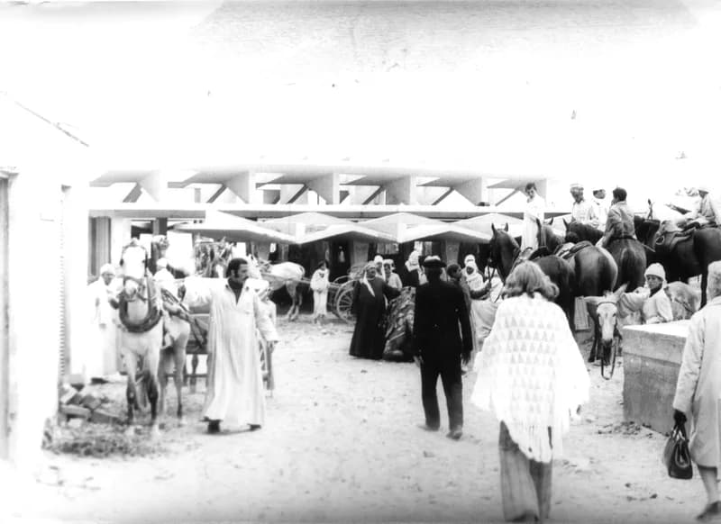 A Fehér család Egyiptomban