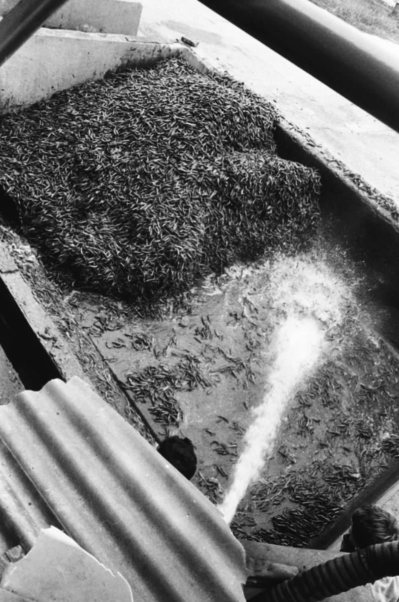 Vitamin Paprikagyár