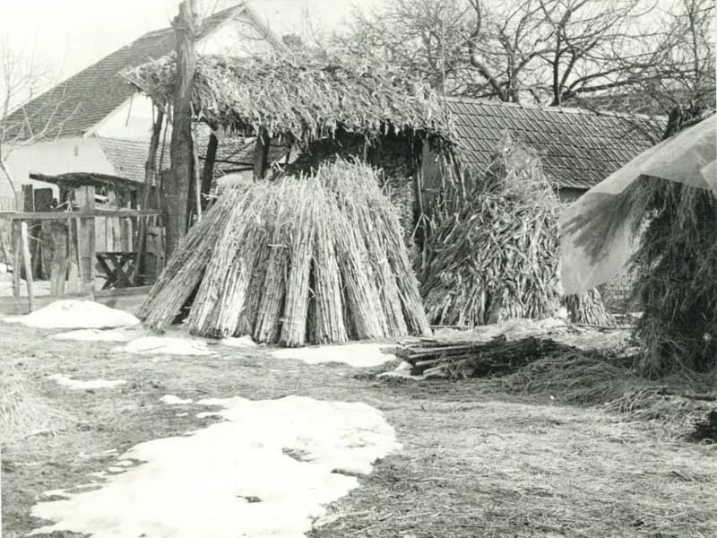 Szárízék, szárkúp a parasztház udvarán