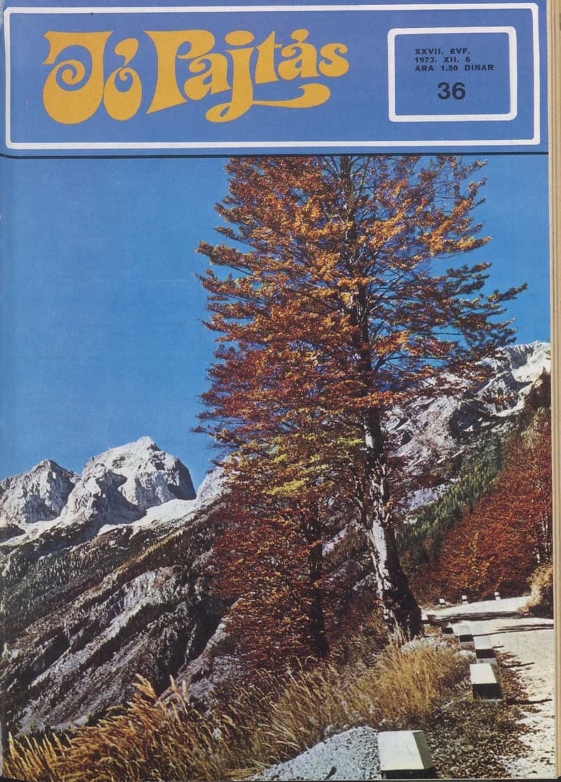 Jó Pajtás, 27. évf. 1973. december 6. 36. sz.