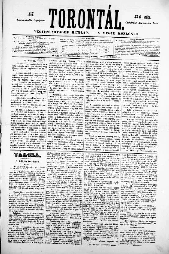 Torontál, 16. évf. 1887. december 1. 48. sz.