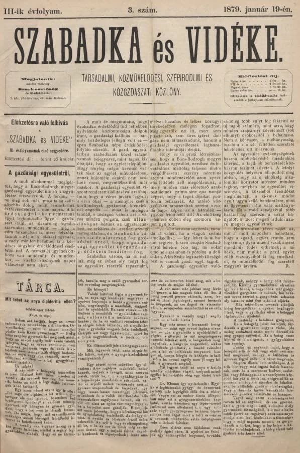 Szabadka és vidéke, 3. évf. 1879. január 19. 3. sz.