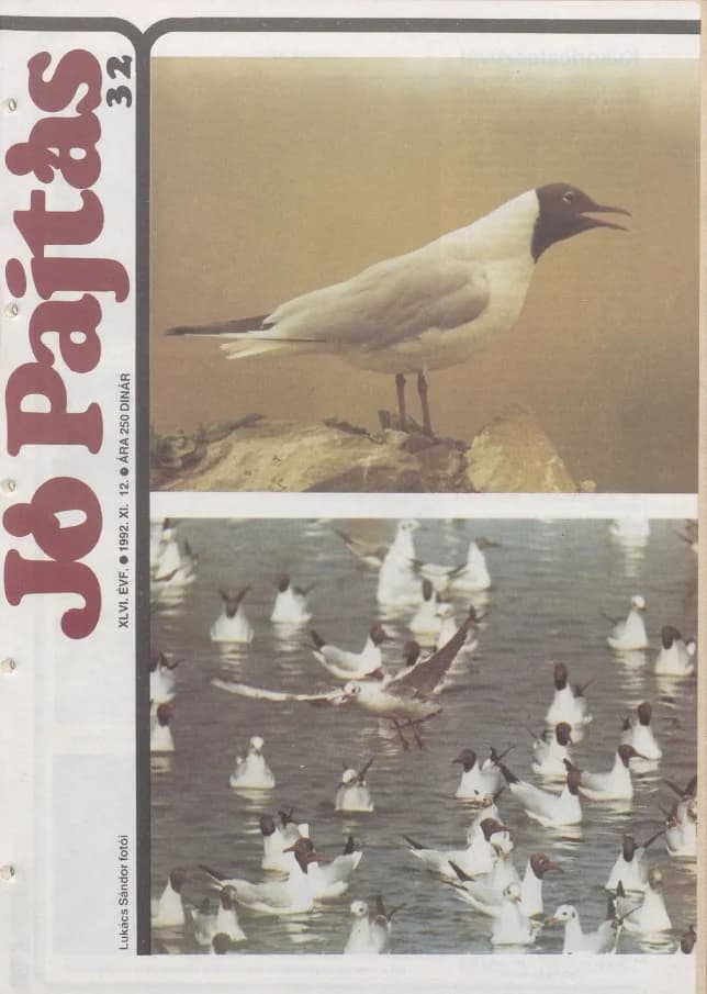 Jó Pajtás, 46. évf. 1992. november 12. 32. sz.