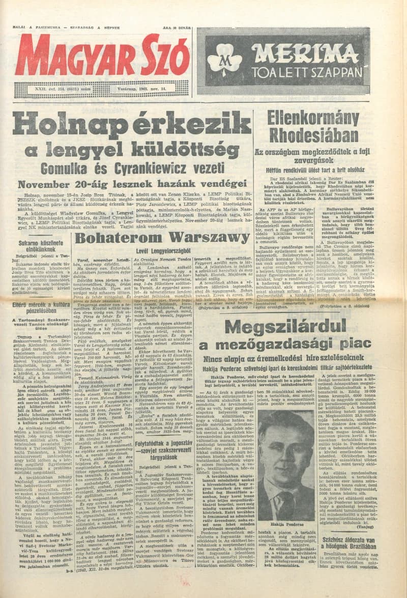 Magyar Szó, 22. évf. 1965. november 14. 314. sz.
