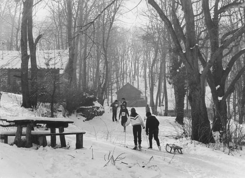 Újvidéki Horgász sziget télen