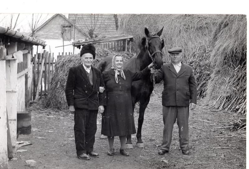 Elek Szilveszter gazdasági udvarában
