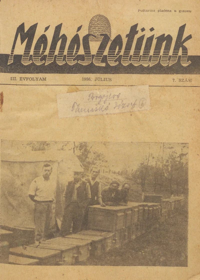 Méhészetünk, 3. évf. 1956. július 1. 7. sz.