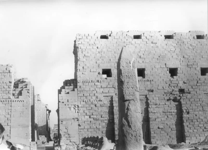 A Fehér család Egyiptomban