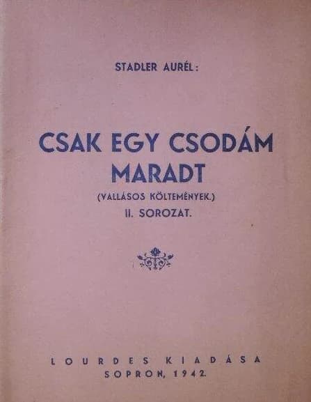 Csak egy csodám maradt 