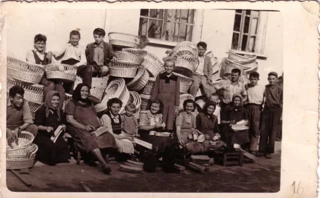 Kosárfonók kutyakosarakkal