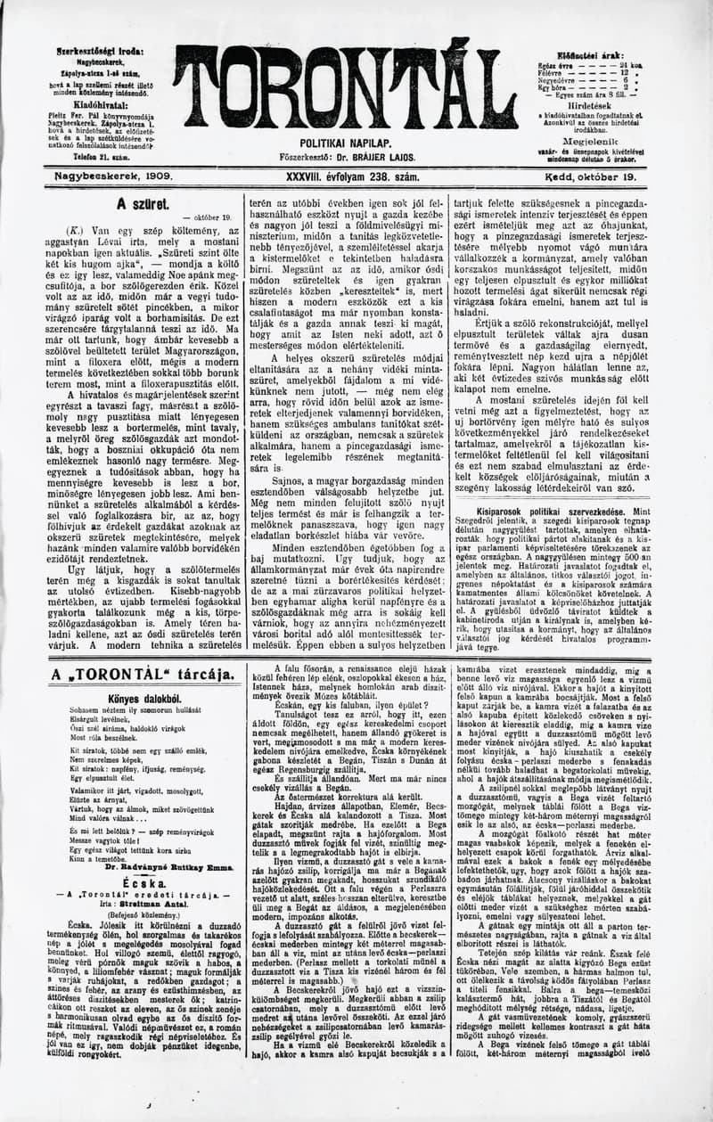 Torontál, 38. évf. 1909. október 19. 238. sz.