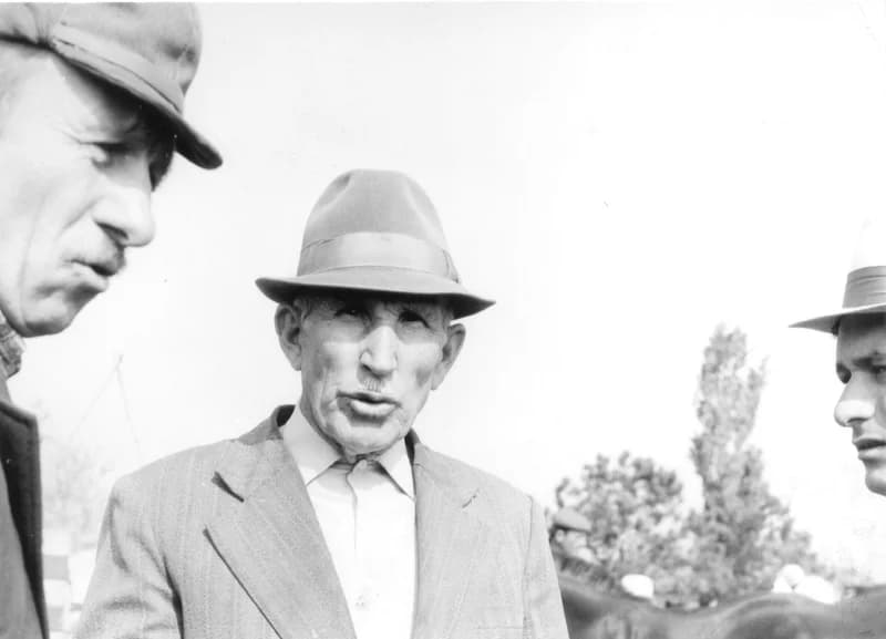 Sihelnik István  (az utolsó zentai fiákeres)