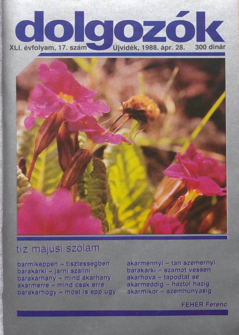 Dolgozók, 42. évf. 1988. április 28. 17. sz.