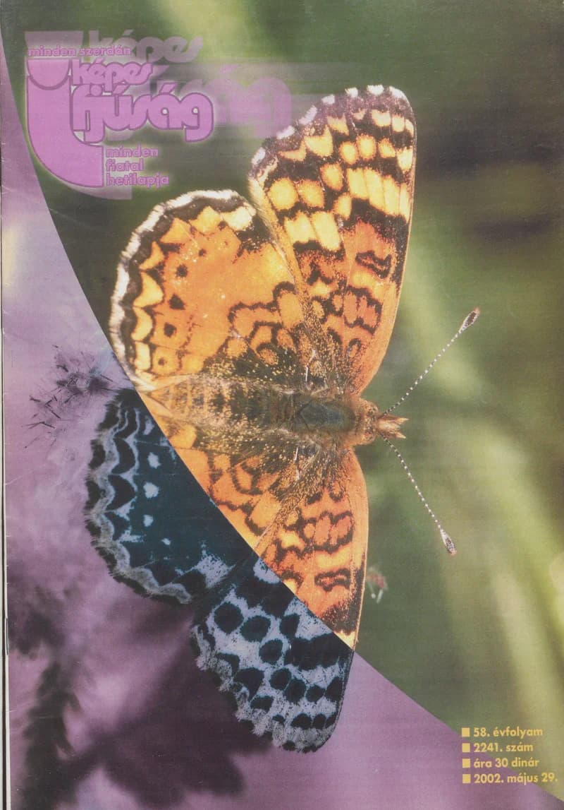 Képes Ifjúság, 58. évf. 2002. május 29. 2241. sz.