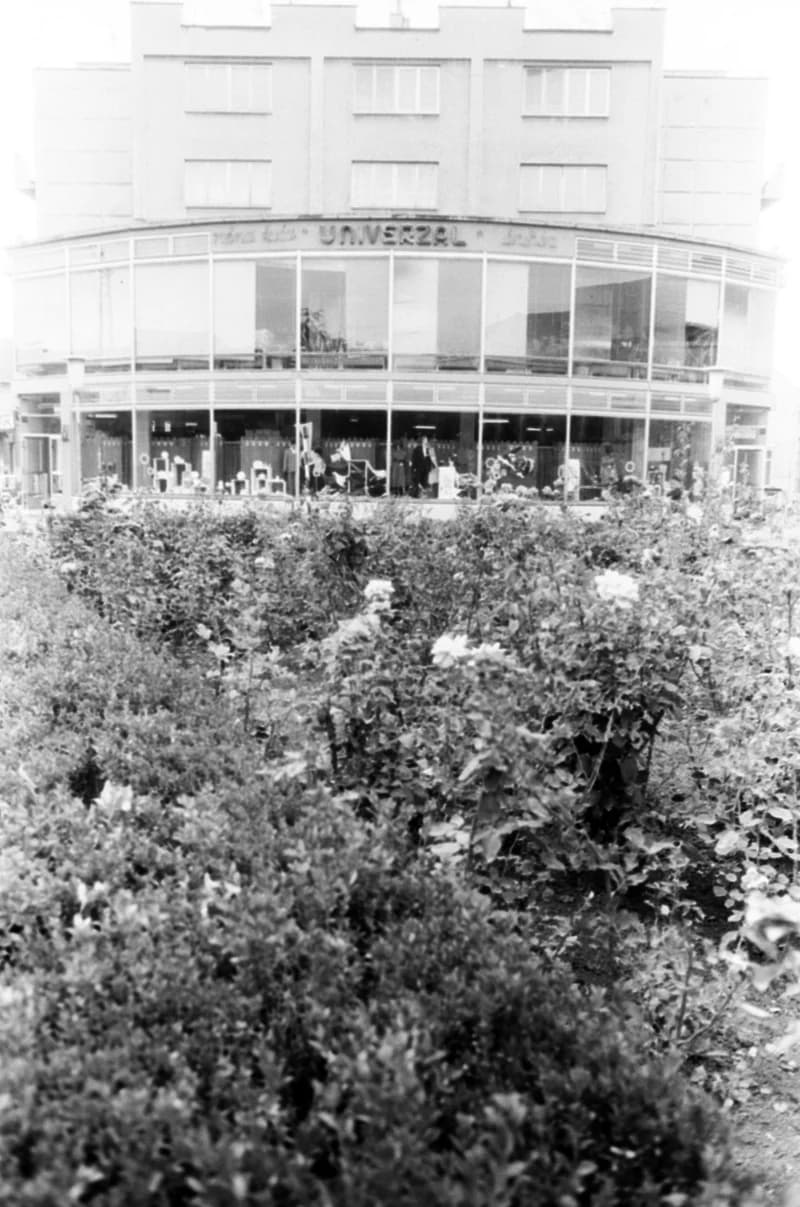 Magyarkanizsa: áruház, főutca, városháza