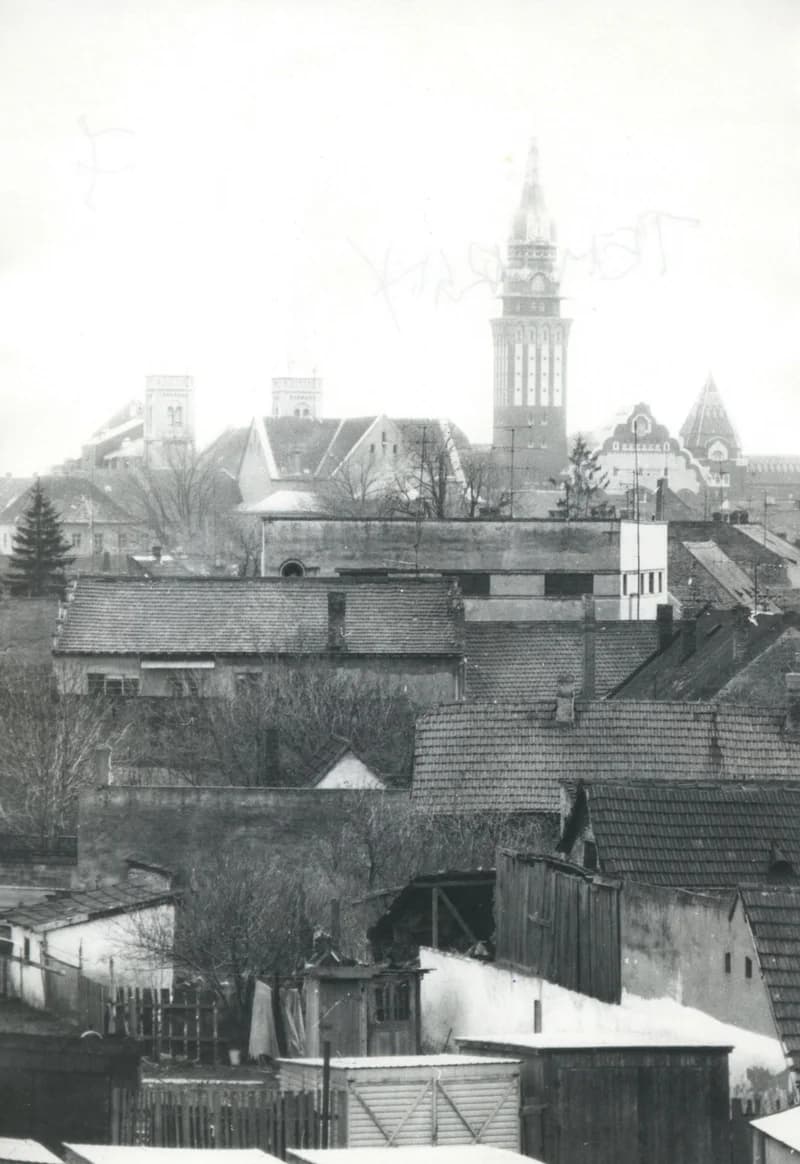 Szabadkai városháza