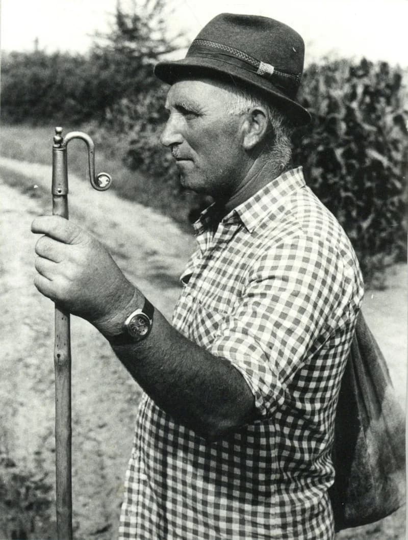 Számadó juhász gamóval