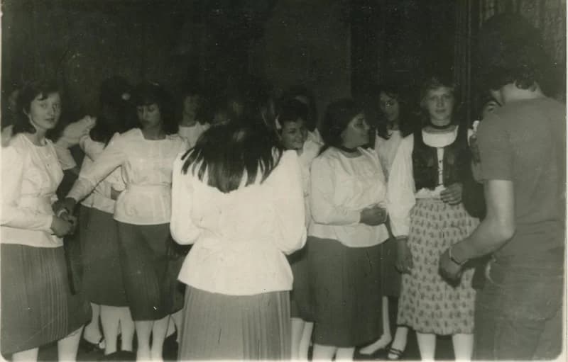 IV. Dél-bánáti Szemle