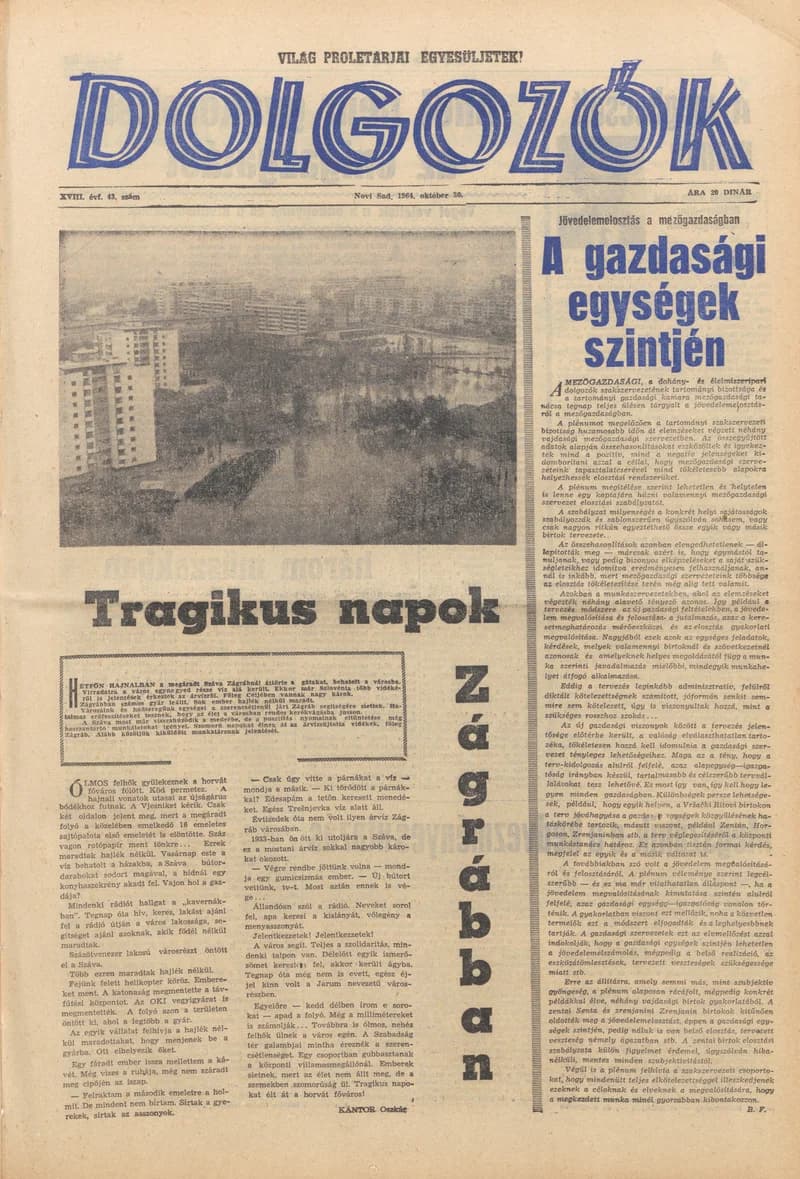 Dolgozók, 18. évf. 1964. október 30. 43. sz.