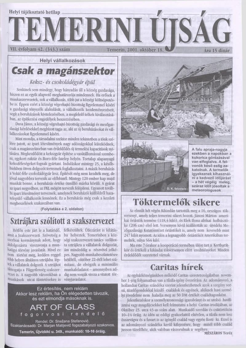 Temerini Újság, 7. évf. 2001. október 18. 42. sz.