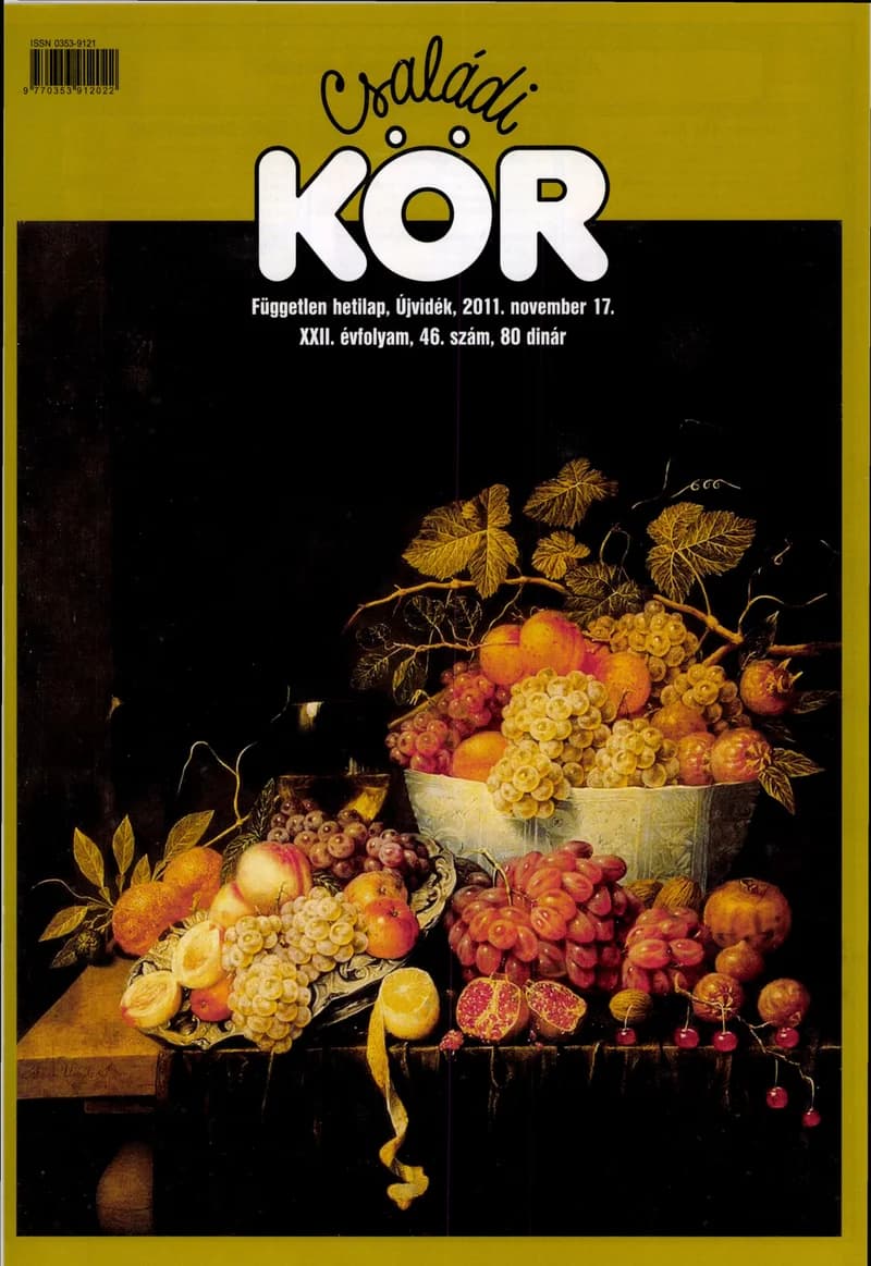 Családi Kör, 22. évf. 2011. november 17. 46. sz.