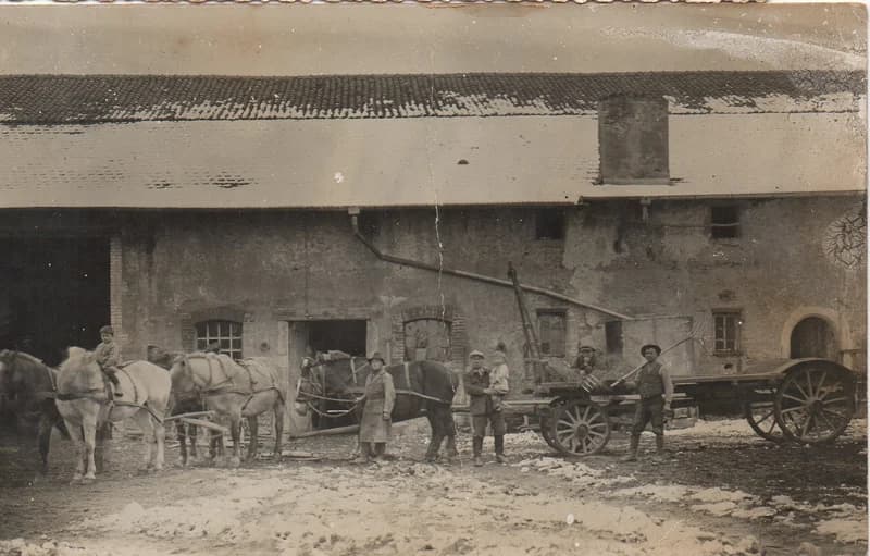 Mezőgazdasági szövetkezet igáslovai Nantes-ban, Franciaországban