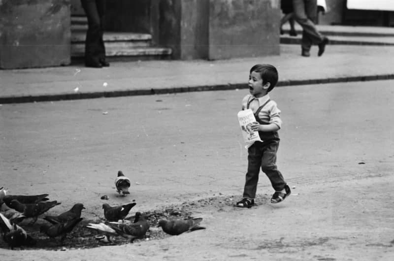 Gyerekek Újvidék utcáin