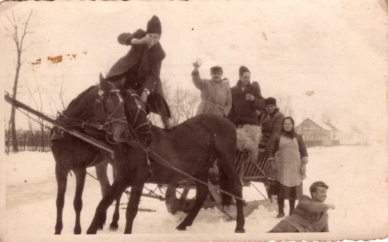 Vigadalom lovasszánon