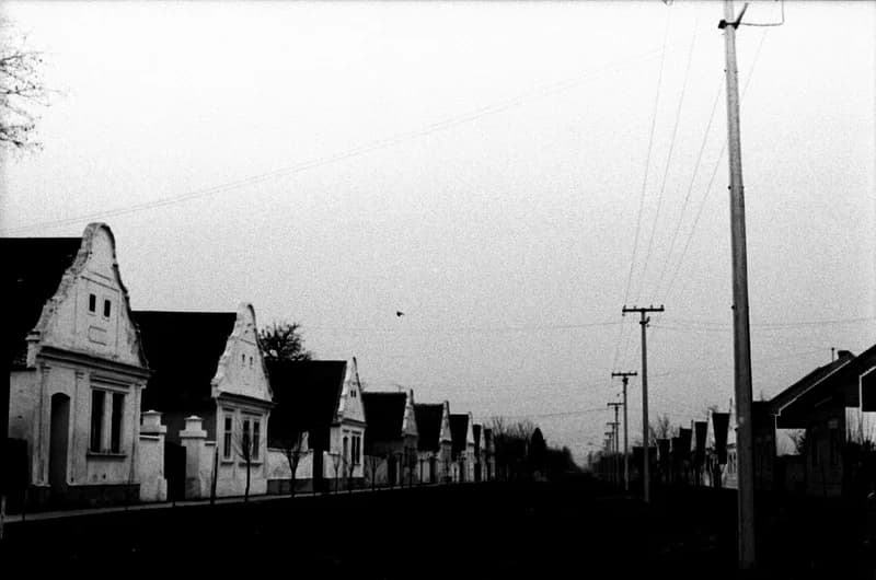 A Bartók Béla Művelődési Egyesületben