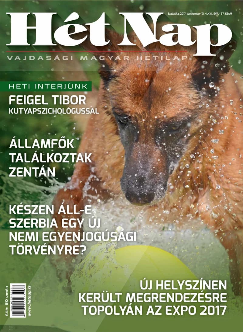 7 Nap, 72. évf. 2017. szeptember 13. 37. sz.