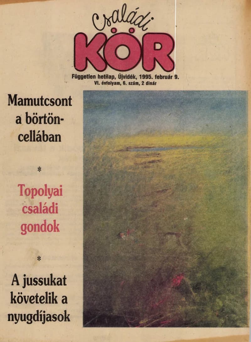 Családi Kör, 6. évf. 1995. február 9. 6. sz.