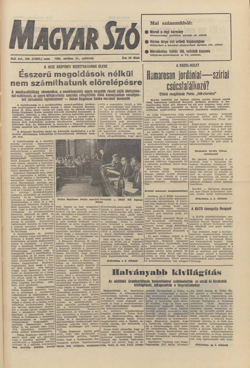 Magyar Szó, 42. évf. 1985. október 31. 300. sz. 1–20. oldal