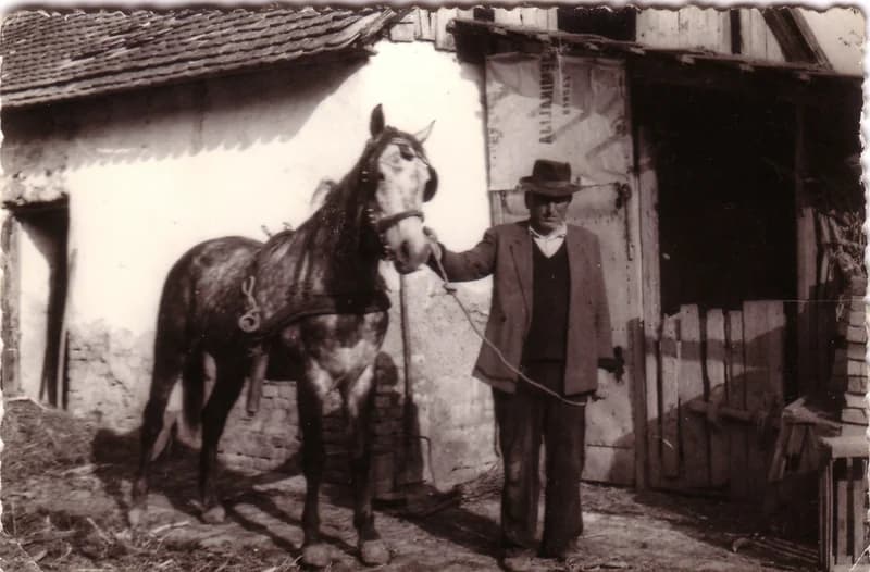 Telek István a lovával