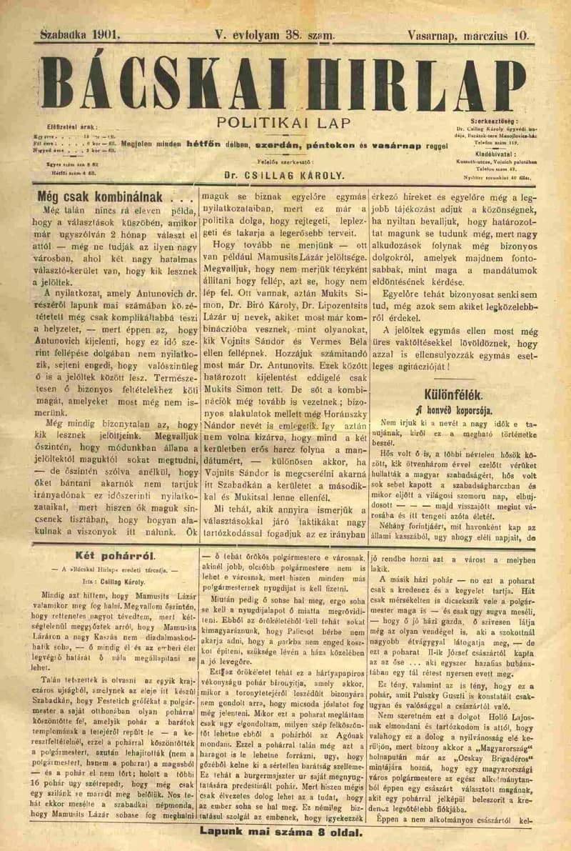 Bácskai Hirlap, 5. évf. 1901. március 10. 38. sz.
