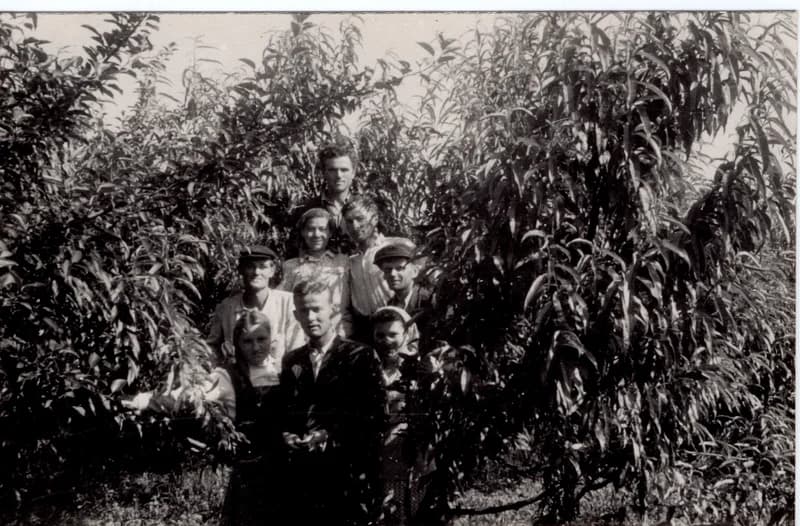 A csókai állami birtokon