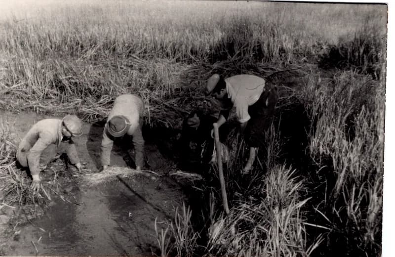Az écskai halgazdaság - ívóhely tisztítása