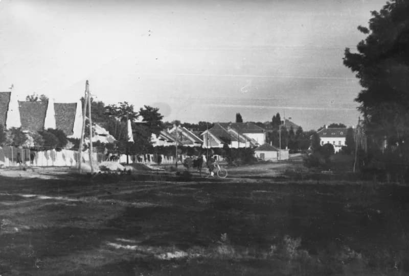 A temerini Petőfi Sándor utca