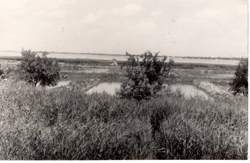 Az écskai halgazdaság