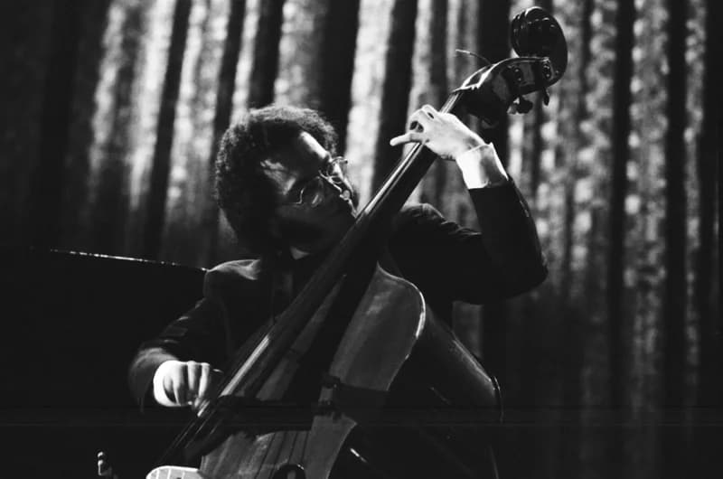 Newport /Jazz Festival/