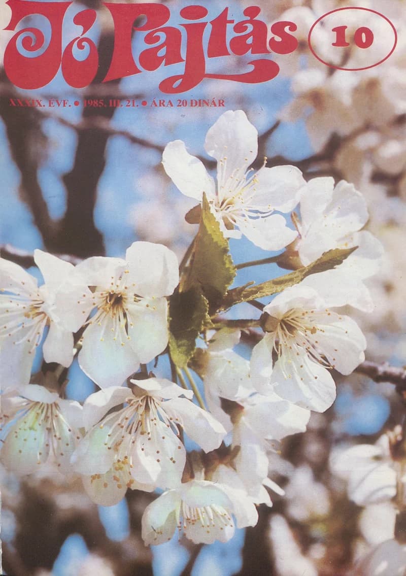Jó Pajtás, 39. évf. 1985. március 21. 10. sz.