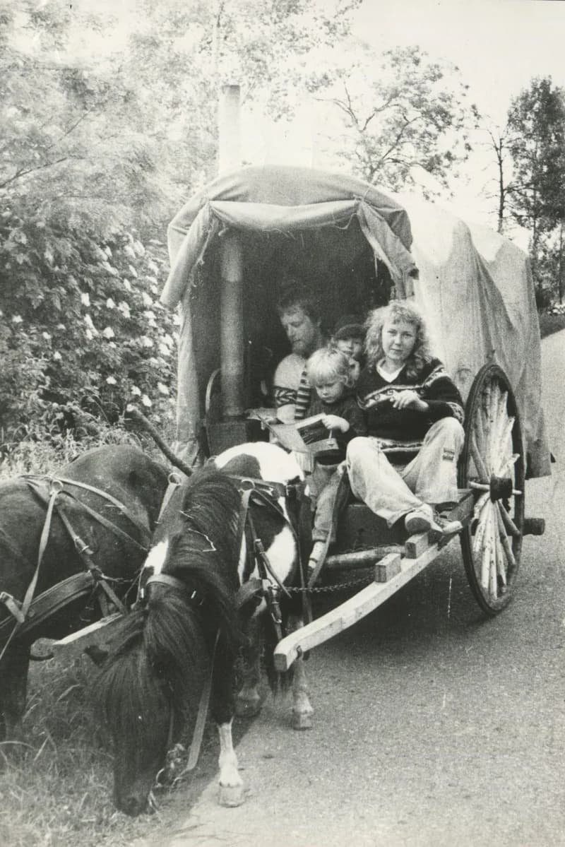 Kép a Világgá indult két póni c. íráshoz