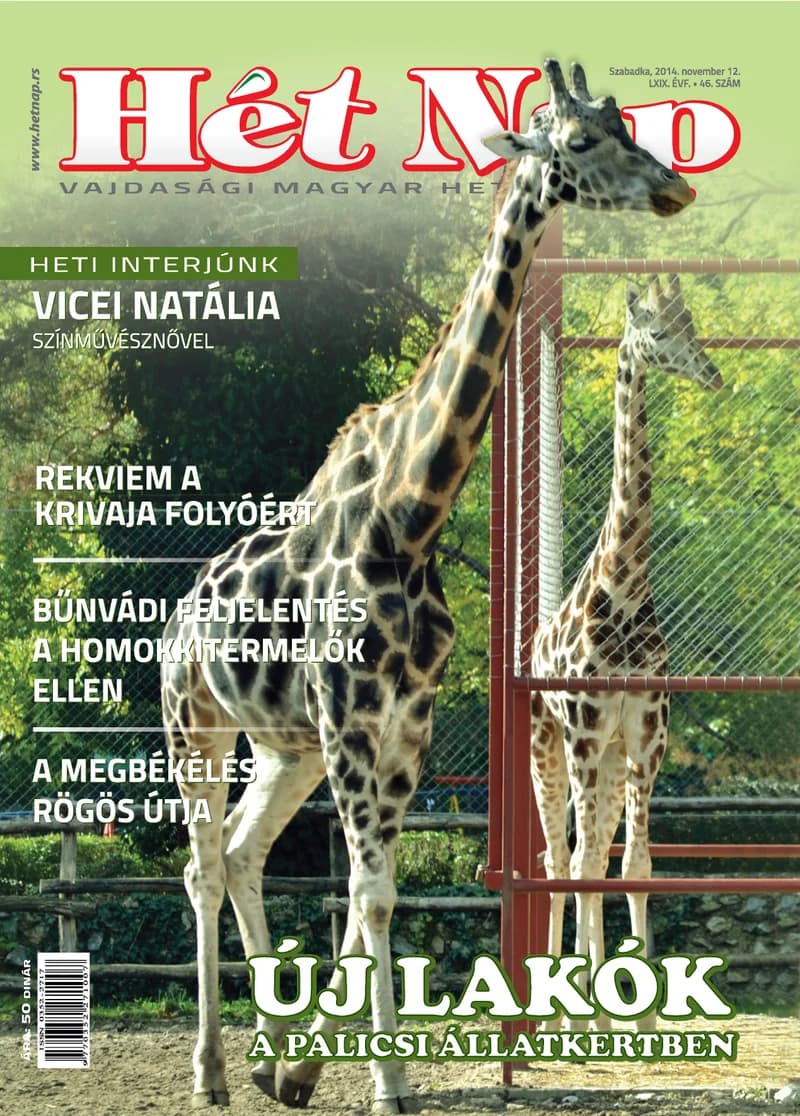 7 Nap, 69. évf. 2014. november 12. 46. sz.